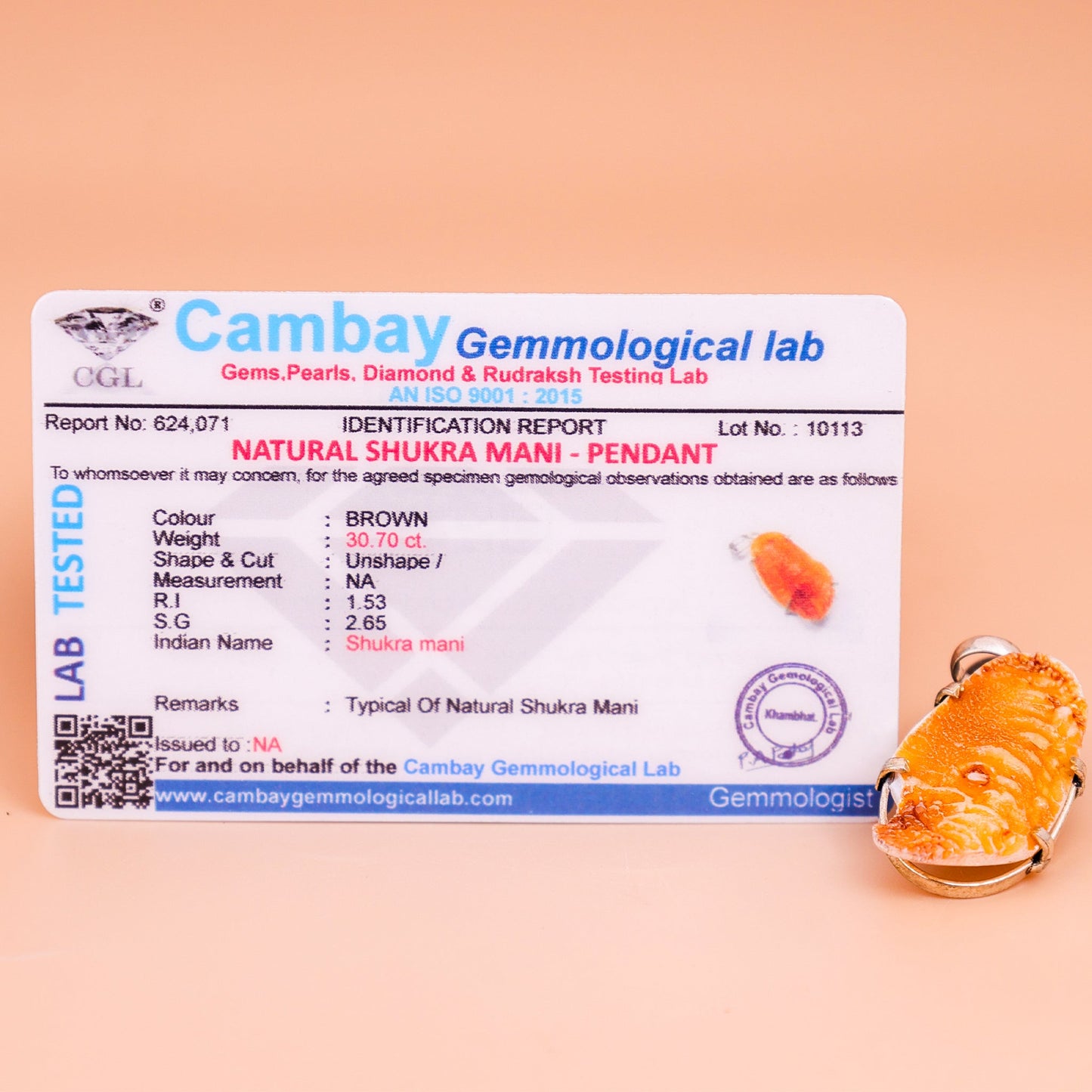 Shukra Mani Pendant (Luxury, Relationships, Charm & Abundance)